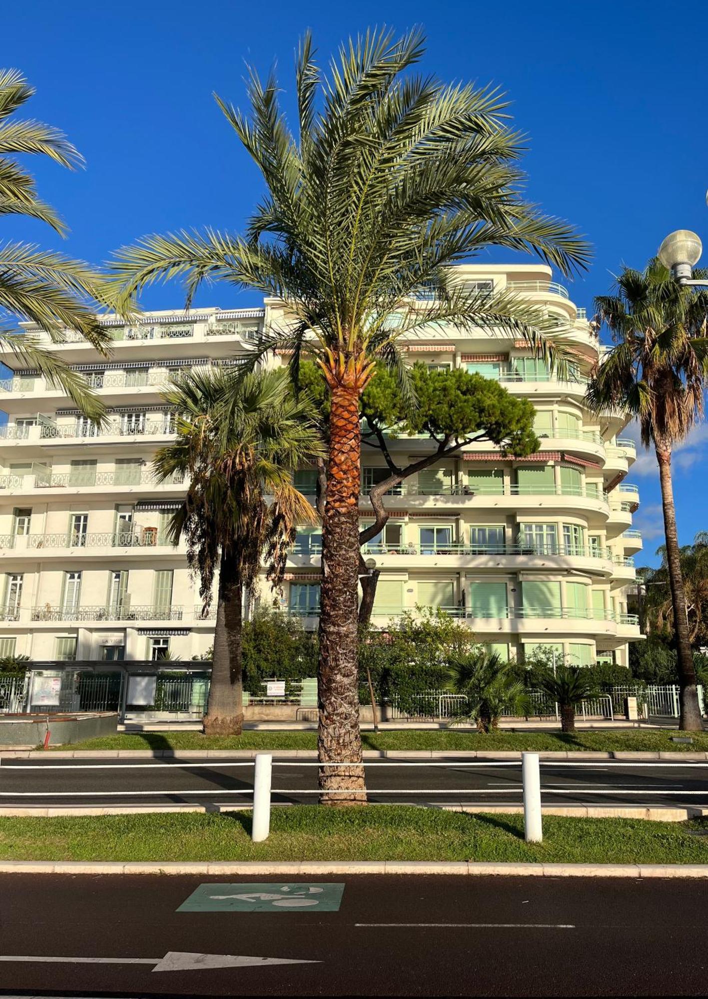 Nice 115 By The Sea Exterior photo